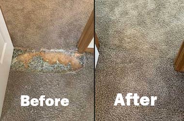 Need Carpet Repair Services