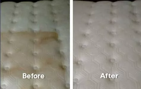 Mould Removed From Mattress