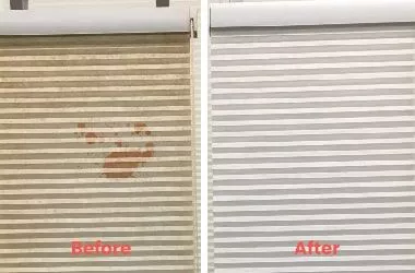 Blind Curtain Cleaning