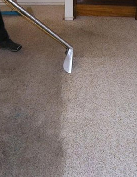 carpet steam cleaning services throughout Manly