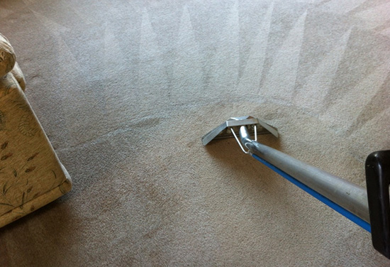 Carpet Steam Cleaning Service in Mosman