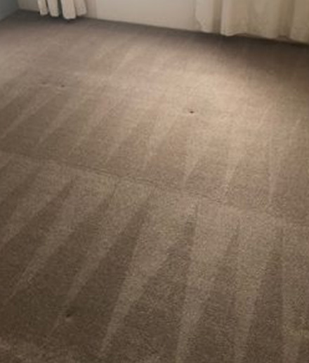 Our expert Carpet Cleaning Paddington