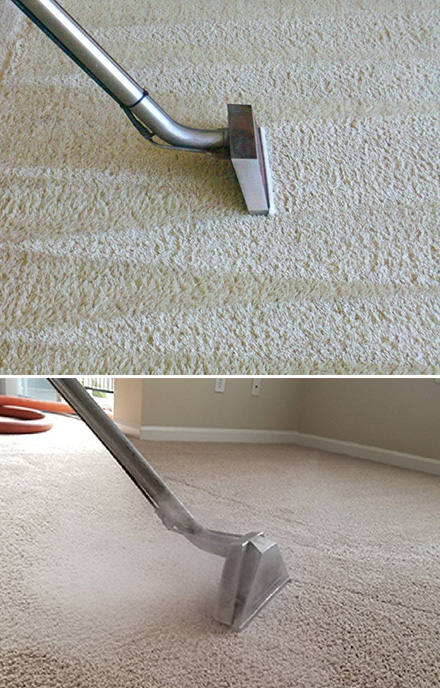 Eco Friendly Carpet Cleaning Bondi