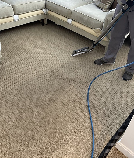 Steam Carpet Cleaning Dee Why services