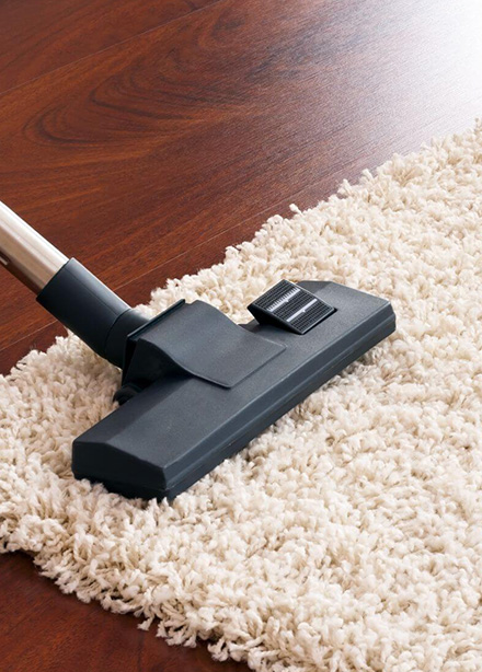 Steam Carpet Cleaning Service in Coogee