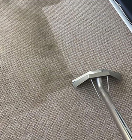 Carpet Stain Cleaning In Waterloo