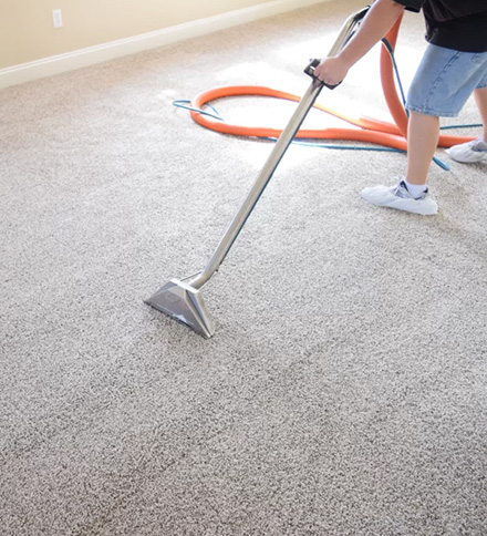 Our Carpet Cleaning Alexandria Procedure