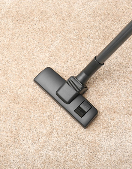 Process We Use For Carpet Cleaning Botany