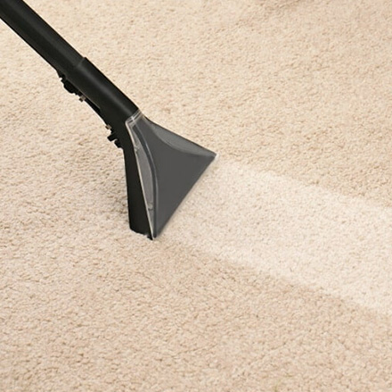 Eco Friendly Carpet Cleaning in Newtown