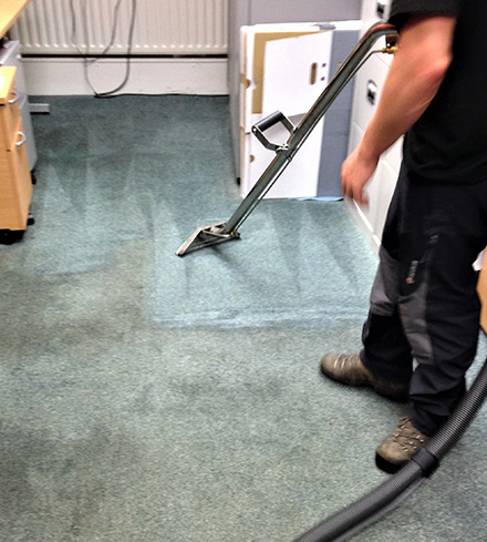 Professional Carpet Cleaning Dee Why